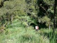 /album/fotogaleria/finca-4-jpg1/